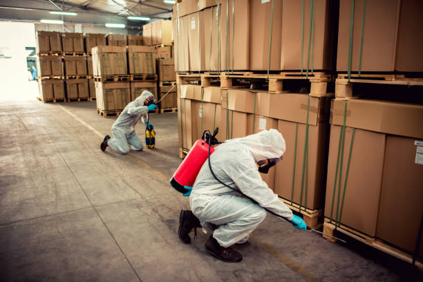 Best Residential Pest Control  in El Portal, FL