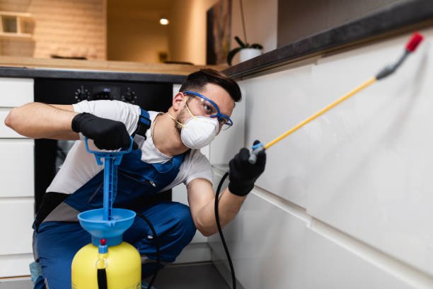 Best Ant Control Services  in El Portal, FL