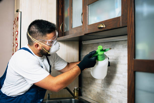 Best Termite Control Services  in El Portal, FL