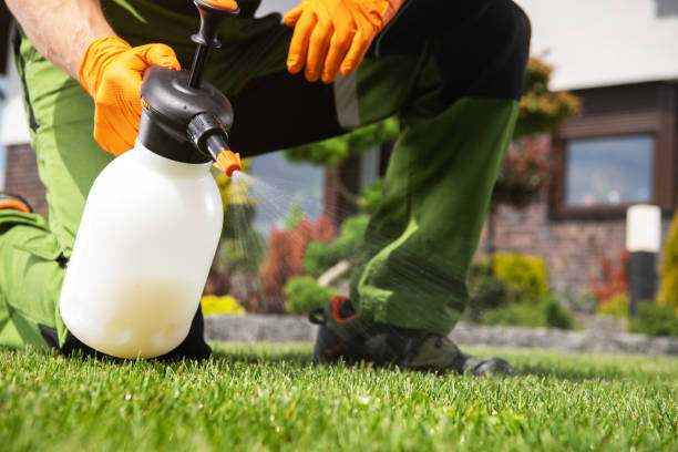 Pest Control for Restaurants in El Portal, FL