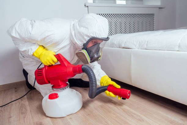 Best Pest Control for Businesses  in El Portal, FL