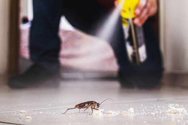 Best Pest Removal Services  in El Portal, FL