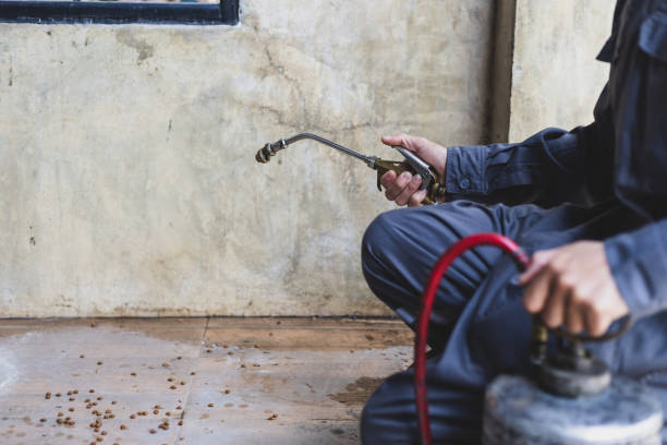 Best Affordable Pest Control Services  in El Portal, FL